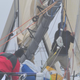 Illustration for article titled Pegasus Open 50, The Official Transpac Raceboat of Gizmodo